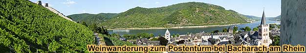 Weinwanderung bei Bacharach Rhein Weinbergfhrung mit Mittelrhein-Weinprobe im Weinberg oder im Postenturm